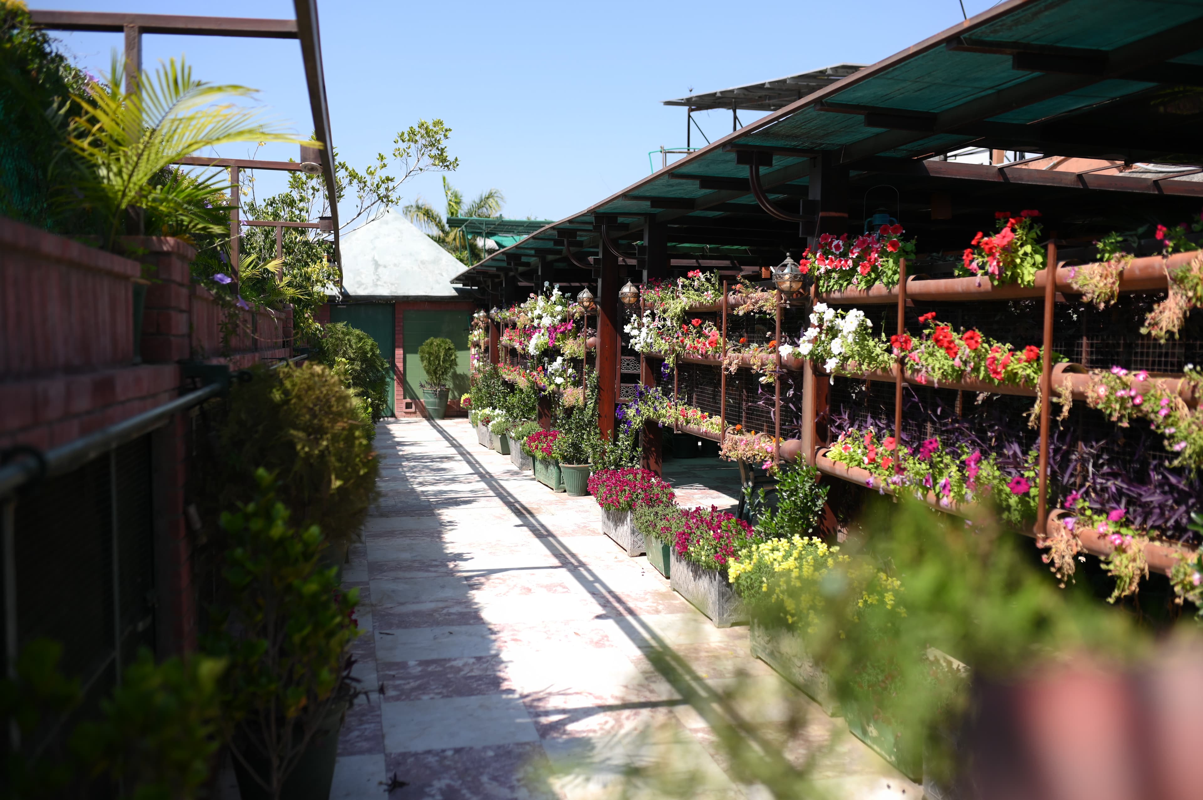 GreenLux Residency calm rooftop terrace garden